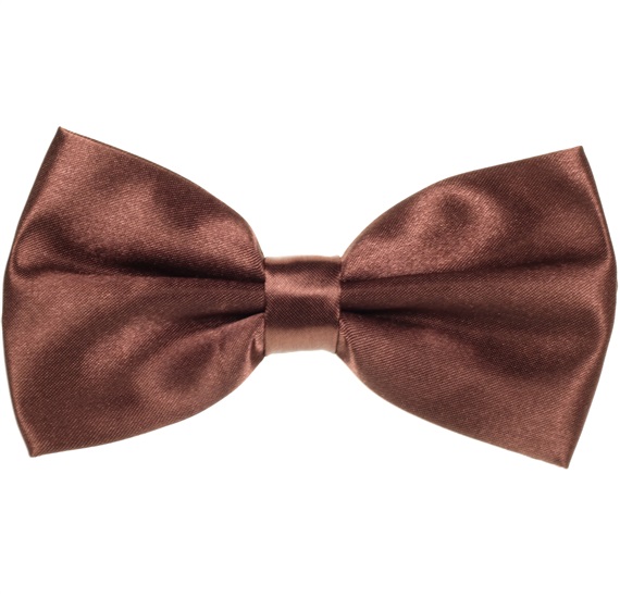 Brown Satin Bow Tie