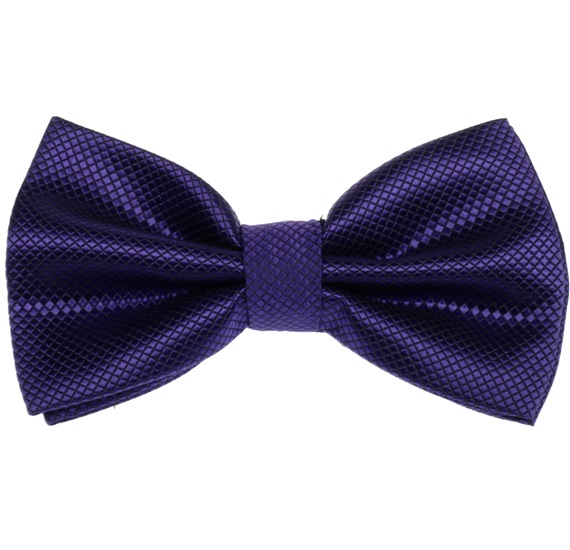 Dark Purple Satin Bow Tie