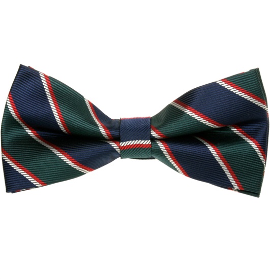 Blue and Green Stripes Bow Tie