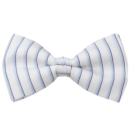 Bow Tie with Blue Stripes