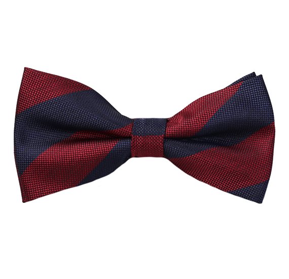 Blue and Burgundy Stripes Bow Tie