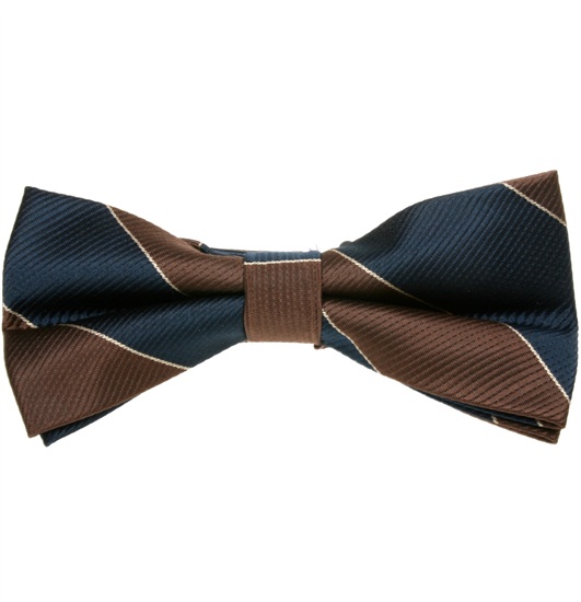 Brown and Blue Stripes Bow Tie