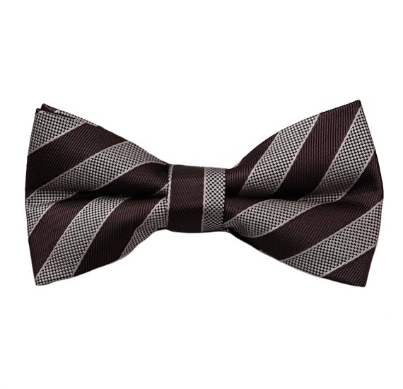 Brown and Beige Stripes Bow Tie