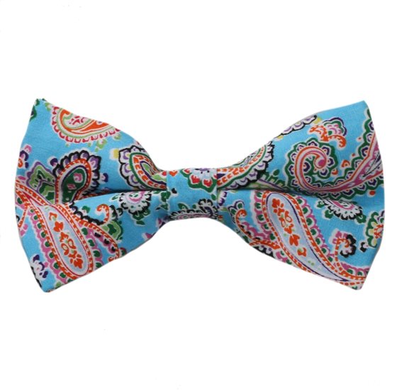 Turquoise Bow Tie with Paisley