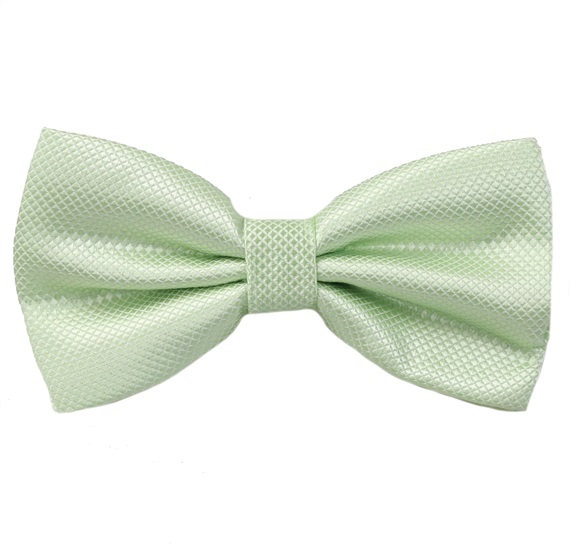 Light Green Bow Tie