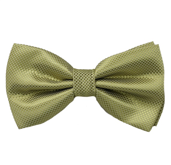 Light Green Dress Bow Tie