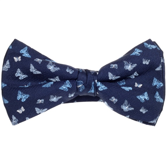 Blue Bow Tie and Pocket Square with Butterflies
