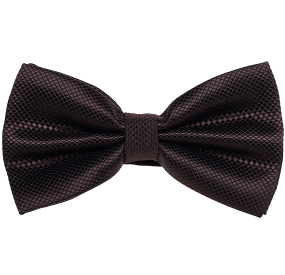 Brown Satin Bow Tie and Pocket Square