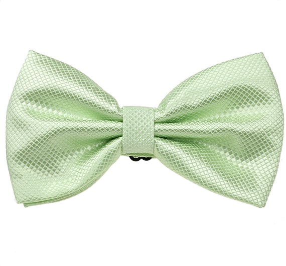 Sea Green Bow Tie and Pocket Square