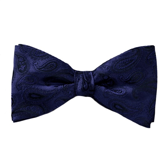 Blue Silk Bow Tie and Pocket Square with Paisley