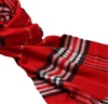 Red Checked Scarf