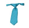 Baby's Turquoise with Dots Tie