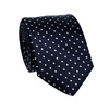 Teenager's Blue with White Dots Tie