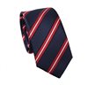 Teenager's Blue with Red Stripes Tie