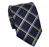 Teenager's Blue and Yellow Checked Tie