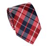 Teenager's Red with Scottish Plaid Tie