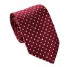 Teenager's Garnet with White Dots Tie