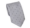 Teenager's Grey with Blue Dots Tie