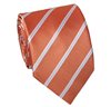 Teenager's Orange with Stripes Tie