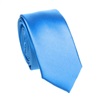Blue Skinny Tie