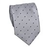 Grey with Dots Tie