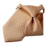 Boy's Yellow with White Dots Tie