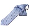 Boy's Blue Flowers Tie