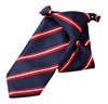 Boy's Red and Blue Stripes Tie