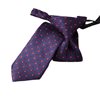 Boy's Blue with Red Clover Tie