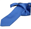 Boy's Royal Paisley Tie