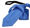 Boy's Royal Blue with Paisley Tie