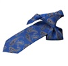 Boy's Royal Blue Tie with Paisley