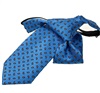 Boy's Royal Blue Tie with Paisley