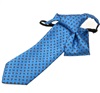 Boy's Royal Blue Paisley Tie