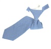 Boy's Royal Blue Vichy-Check Tie
