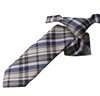Boy's Beige and Blue Checked Tie