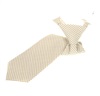 Boy's Sand Vichy-Check Tie