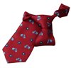 Boy's Garnet Scooter Tie