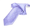 Boy's Mauve Tie with White Dots