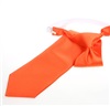 Boy's Orange Tie