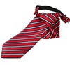 Boy's Red and Blue Stripes Tie