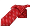 Boy's Red Tie with Blue Paisley