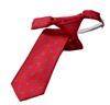 Boy's Red Tie with Blue Paisley