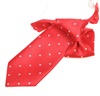 Boy's Red Tie with White Dots