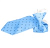 Boy's Sky Blue Checked Silk Tie