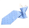 Boy's Sky Blue Silk Tie with Dots