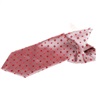Boy's Garnet Printted Silk Tie