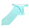 Boy's Light Turquoise Tie