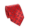 Red Paisley Tie