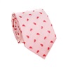 Red Paisley Silk Tie